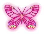 :  butterfly_006.gif
: 6685
:  12,2 