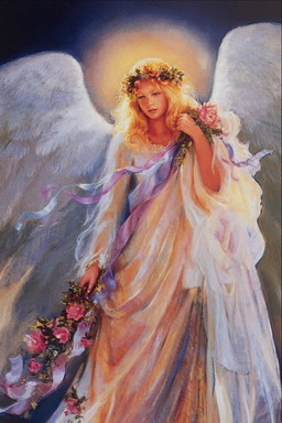 :  angel.jpg
: 65
:  35,3 