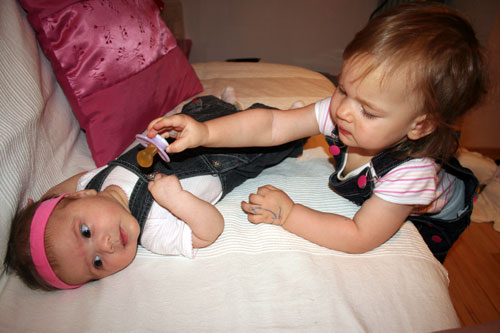 :  6.jpg
: 1169
:  38,2 