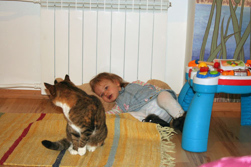 :  8.jpg
: 1168
:  39,1 