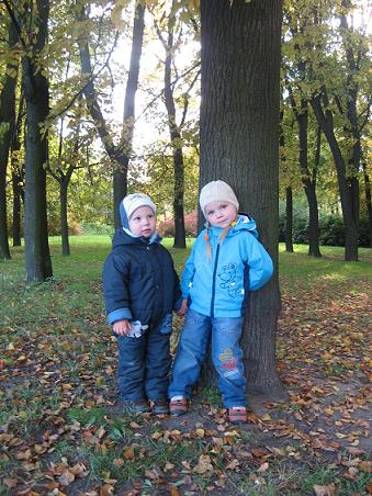 :  .JPG
: 255
:  59,5 