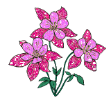 :  912961ec87286e8d9bedc3ef24338048.gif
: 210
:  17,6 
