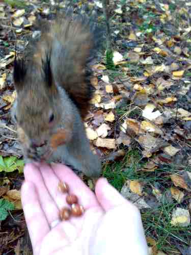 :  .jpg
: 59
:  61,0 