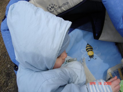 :  - 14.04.06 031-1.jpg
: 46
:  45,6 