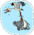:  .gif
: 38
:  14,5 