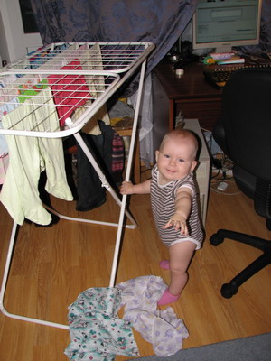 :  IMG_8875_resize.jpg
: 61
:  53,6 