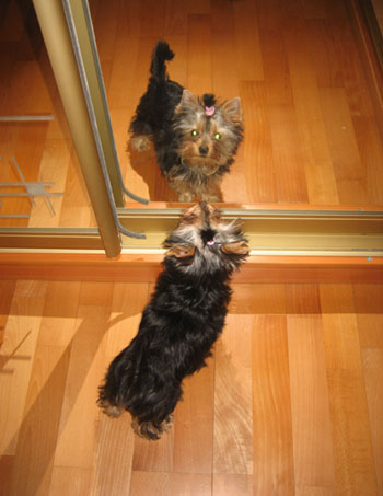 :  IMG_6517.jpg
: 99
:  55,8 