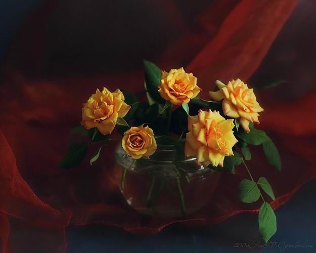 :    .jpg
: 78
:  27,6 