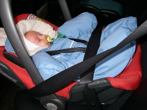 :    .jpg
: 67
:  35,4 