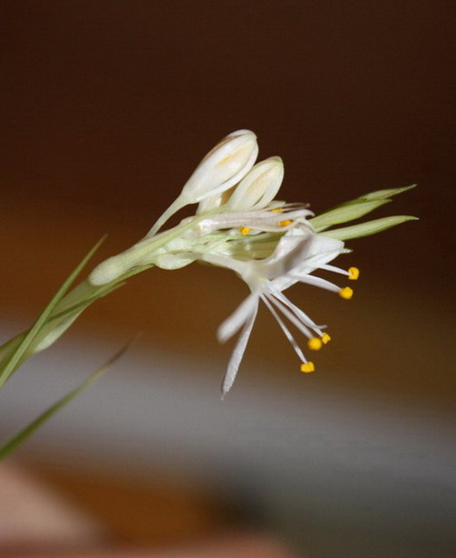 :  IMG_0288 n.jpg
: 171
:  58,2 