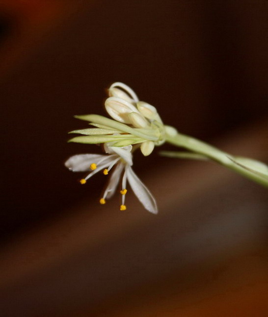 :  IMG_0289 n.jpg
: 172
:  56,4 