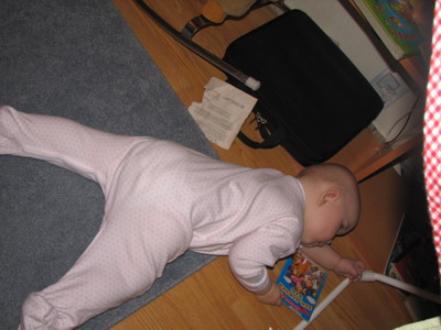 :  IMG_8922_resize.jpg
: 54
:  44,2 