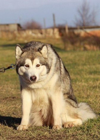 :  IMG_00311111.jpg
: 48
:  61,6 