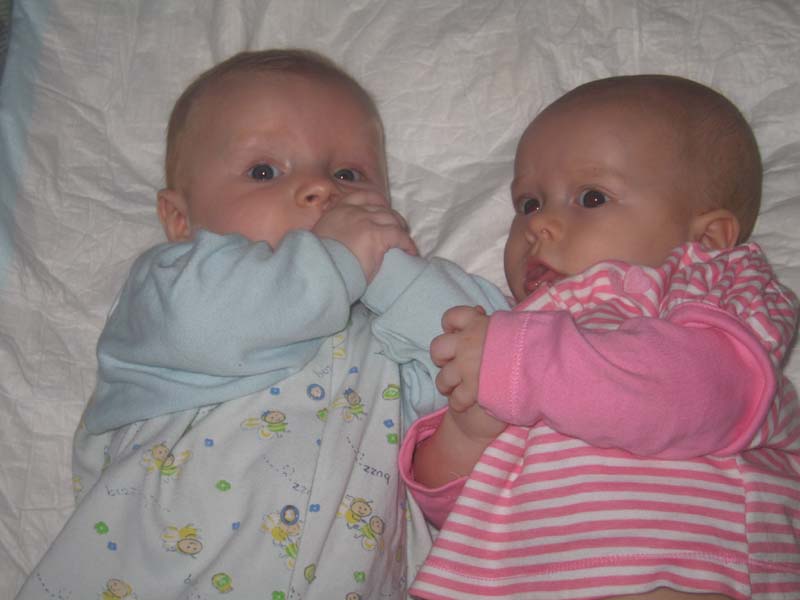 :  IMG_0019.JPG
: 83
:  55,7 