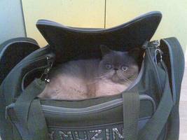 :  Img(158) [50%] [320x200].jpg
: 30
:  14,2 