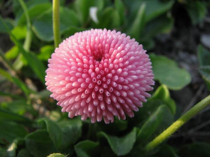 :  2.jpg
: 84
:  54,0 