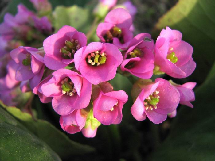 :  9.jpg
: 82
:  56,5 