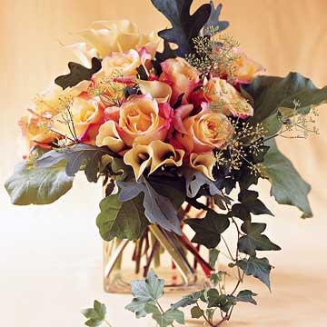 :  27232237.jpg
: 71
:  27,6 