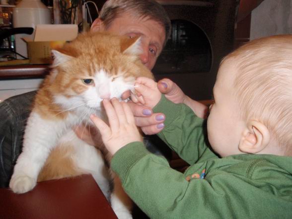 :  Resize of PB180454.JPG
: 67
:  49,9 