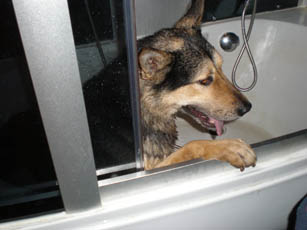 :  PB150103 .jpg
: 193
:  33,2 