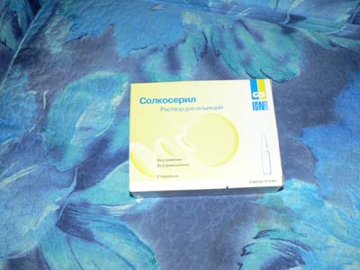 :  P1060667s.jpg
: 461
:  42,3 