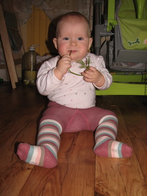 :  IMG_9026_resize.jpg
: 56
:  42,7 