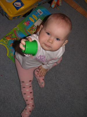 :  IMG_9043_resize.jpg
: 56
:  44,0 