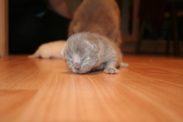 :  x_d95c8169.jpg
: 69
:  22,5 