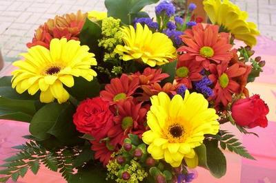 :  .jpg
: 59
:  63,0 