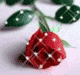 :  3_8082.gif
: 91
:  6,8 
