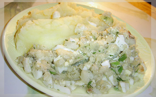 :  PIC_0583.jpg
: 528
:  49,5 