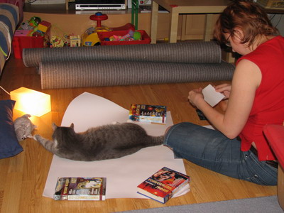 :  IMG_9058_resize.jpg
: 61
:  52,2 
