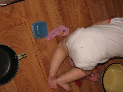 :  IMG_9060_resize.jpg
: 60
:  41,1 