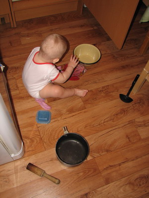 :  IMG_9061_resize.jpg
: 61
:  43,3 