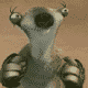 :  776a5e246b7e.gif
: 110
:  6,5 