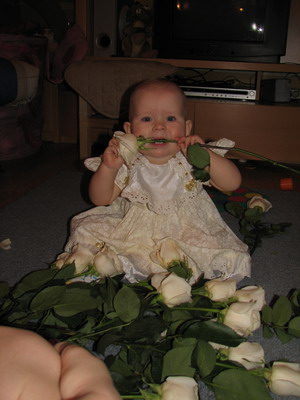 :  IMG_9082_resize.jpg
: 81
:  40,2 