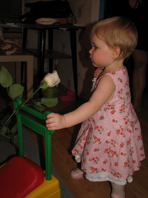 :  IMG_9087_resize.jpg
: 84
:  40,9 
