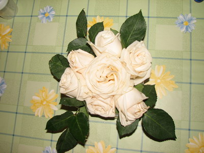 :  IMG_9106_resize.jpg
: 68
:  50,1 