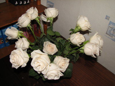 :  IMG_9108_resize.jpg
: 72
:  50,0 