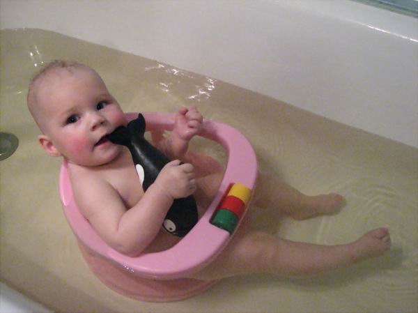 :     621.jpg
: 69
:  31,1 