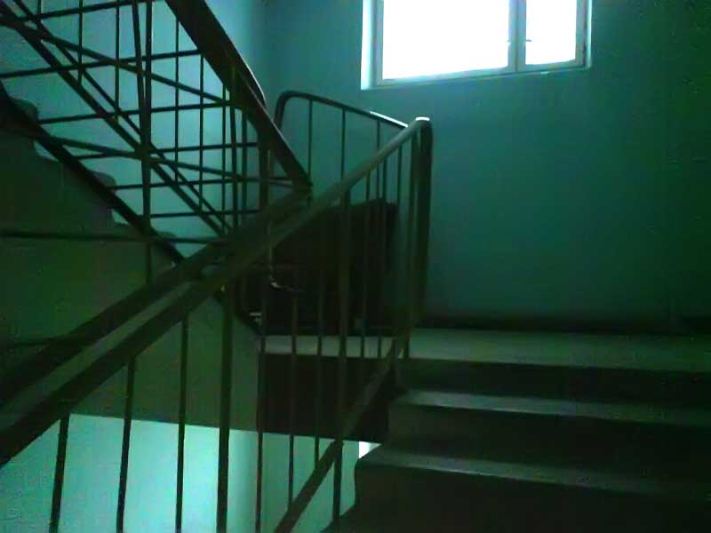 :  DSC00524.jpg
: 696
:  26,7 