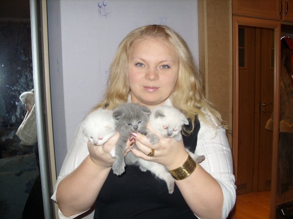 :  2.jpg
: 109
:  44,6 