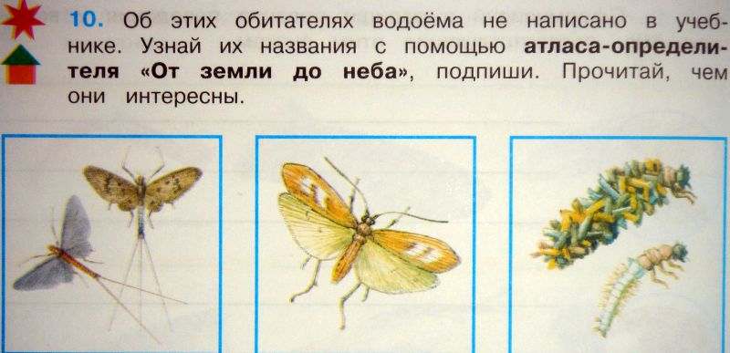 :  ObitatelyVodoyoma.jpg
: 51
:  53,8 