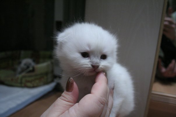 :  x_23d037c7.jpg
: 123
:  24,6 