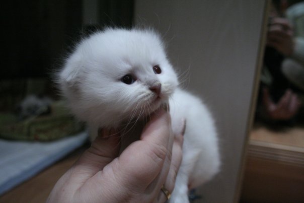 :  x_76973a97.jpg
: 119
:  25,0 