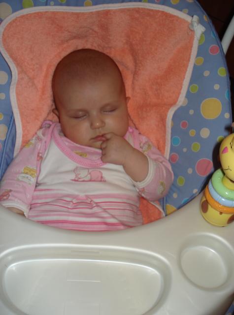 :  DSC01258.JPG
: 63
:  37,4 