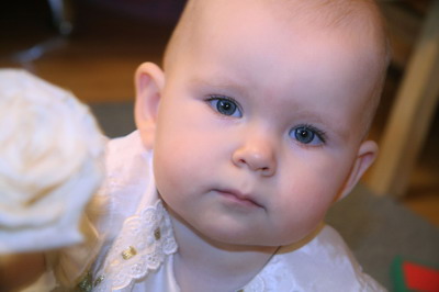 :  IMG_9003_resize.JPG
: 77
:  28,1 