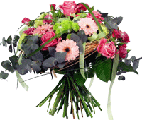 :  68df66ff9b208b3408b0b902101bfc5e.gif
: 64
:  41,2 