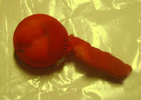 :  sa.jpg
: 231
:  35,9 
