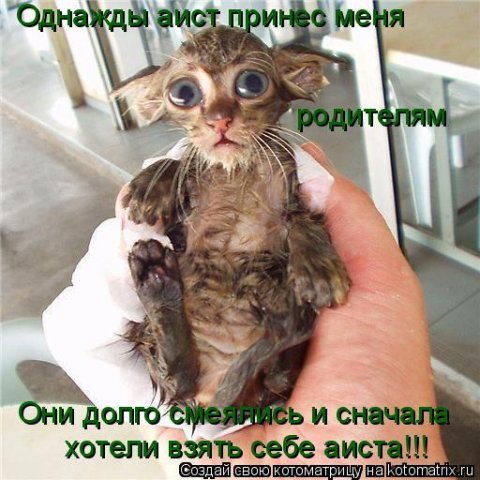 :  x_ba186d12[1].jpg
: 67
:  59,2 